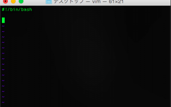 bash