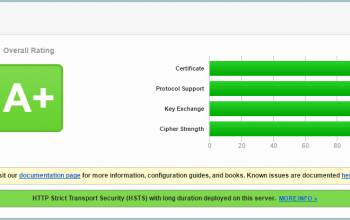 SSL Server Test 2