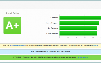 SSL Server Test 4