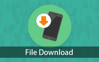 FileDownload